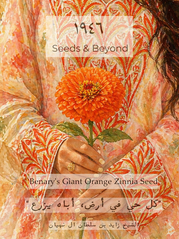 Benary's Giant Orange
Zinnia Seed