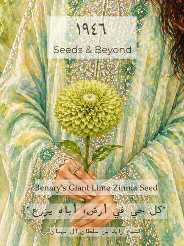 Benary's Giant Lime
Zinnia Seed