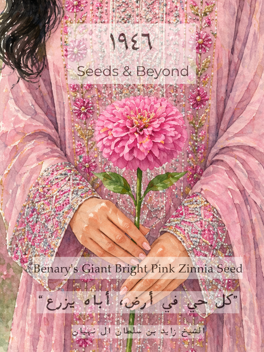 Benary's Giant Bright Pink
Zinnia Seed
