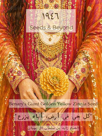 Benary's Giant Golden Yellow
Zinnia Seed