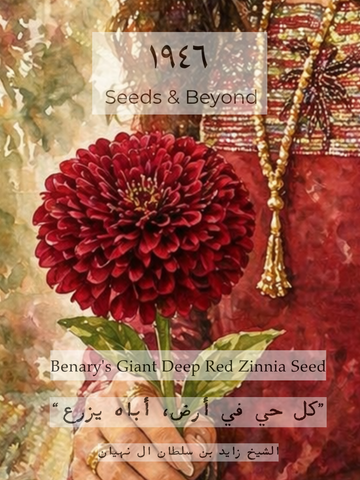 Benary's Giant Deep Red
Zinnia Seed
