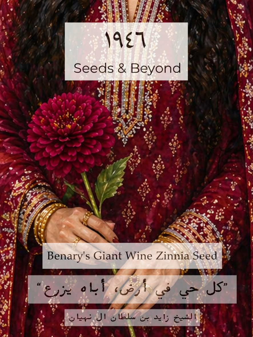 Benary's Giant Wine
Zinnia Seed