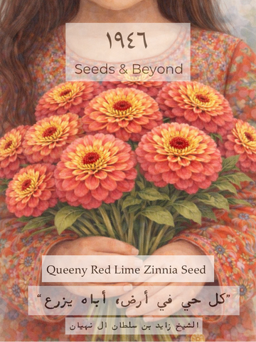 Queeny Red Lime
Zinnia Seed