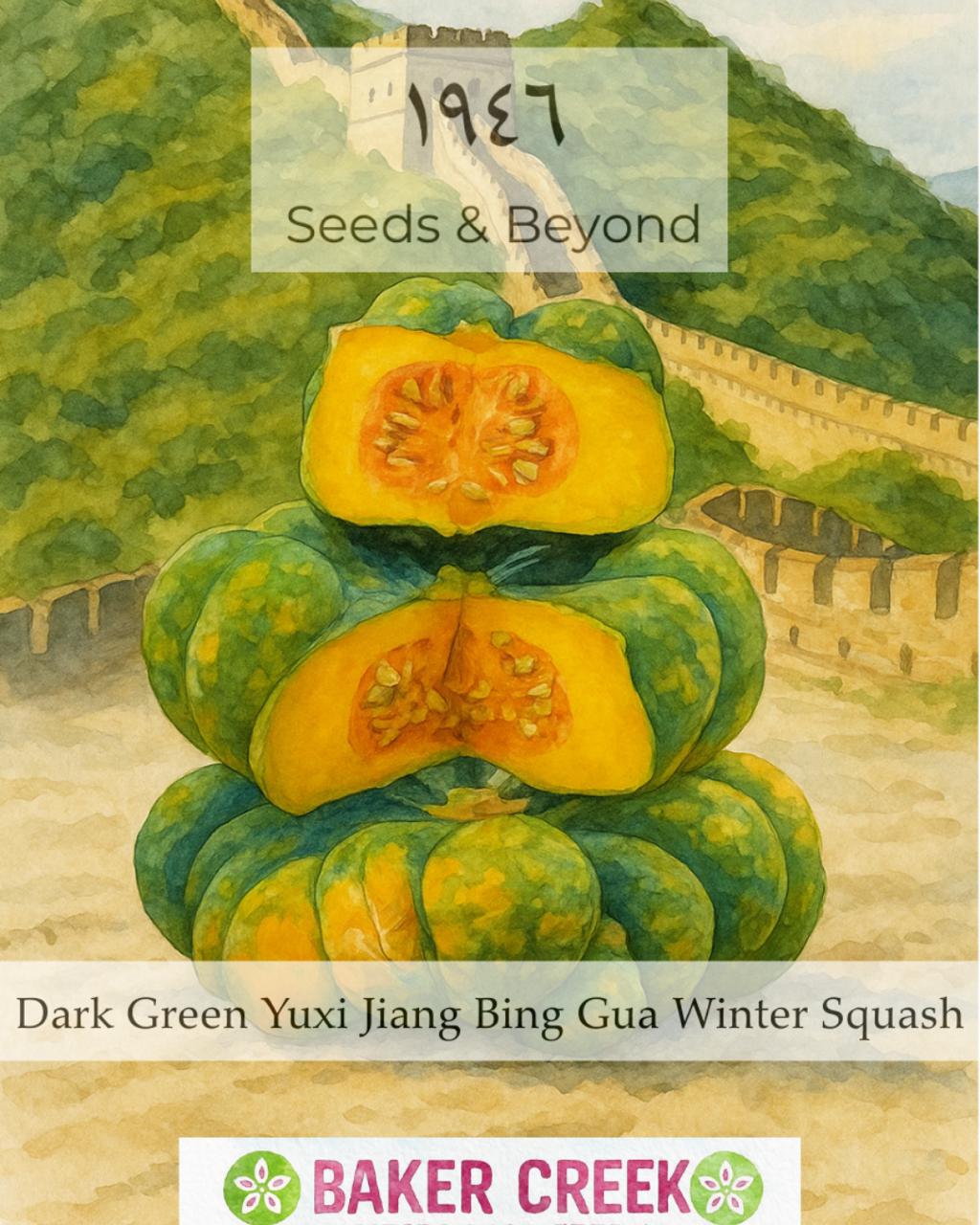 Dark Green Yuxi Jiang Bing Gua Squash