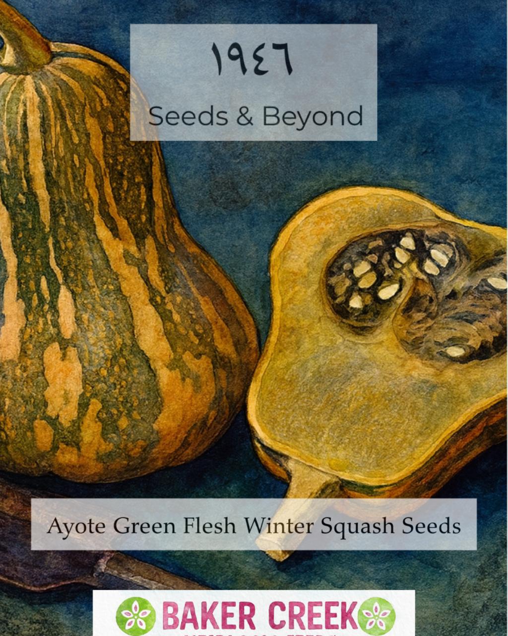 Ayote Green Flesh Winter Squash Seed