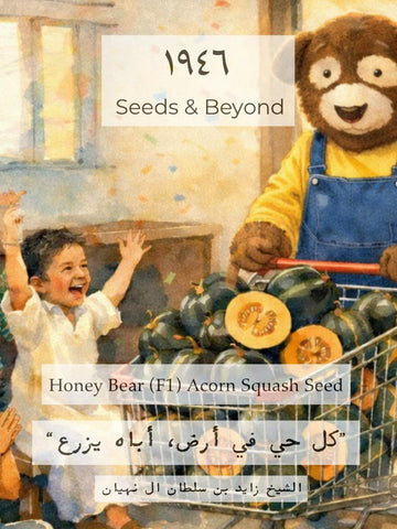 Honey Bear
(F1) Acorn Squash Seed