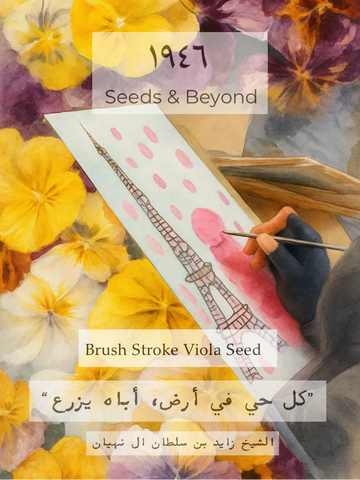 Brush Strokes Viola Seed