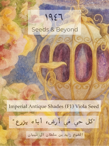 Imperial™ Antique Shades
(F1) Viola Seed