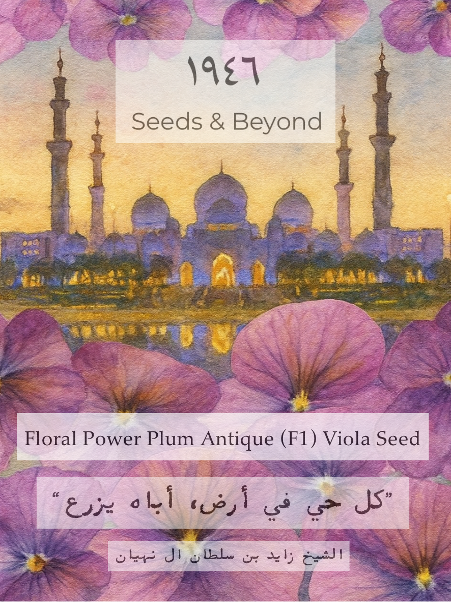 Floral Power Plum Antique
(F1) Viola Seed