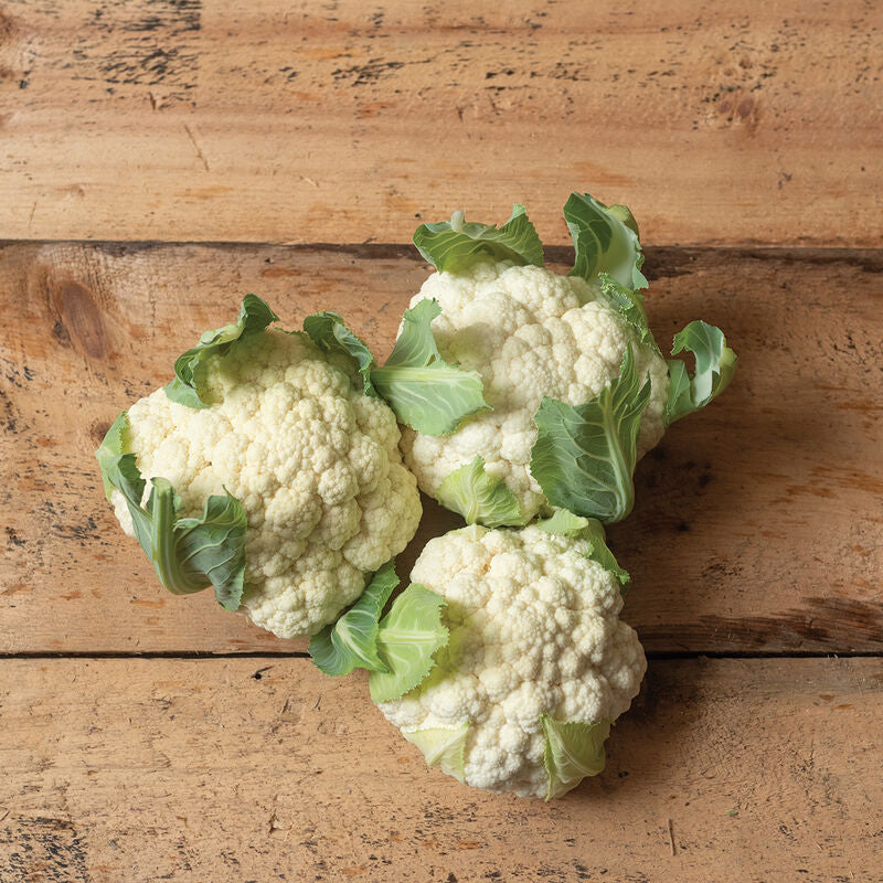 Twister F1 Cauliflower Seed