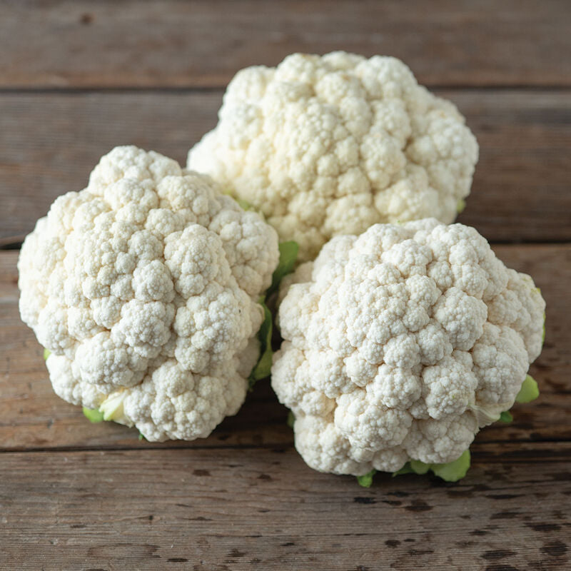 Fujiyama
(F1) Cauliflower Seed