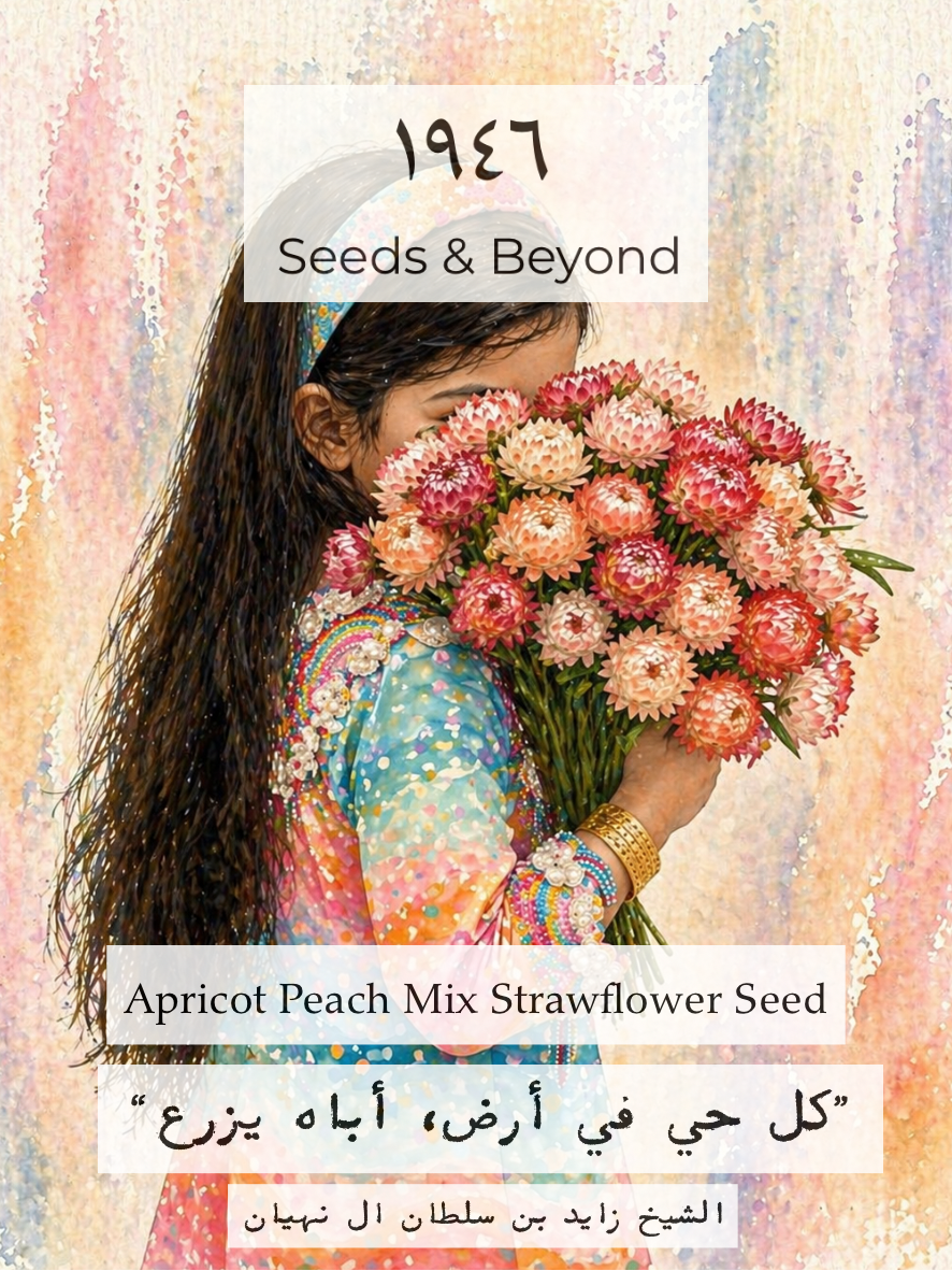 Apricot Peach Mix
Strawflower Seed