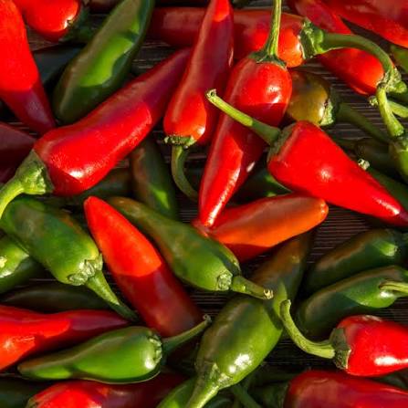 Nadapeno Pepper