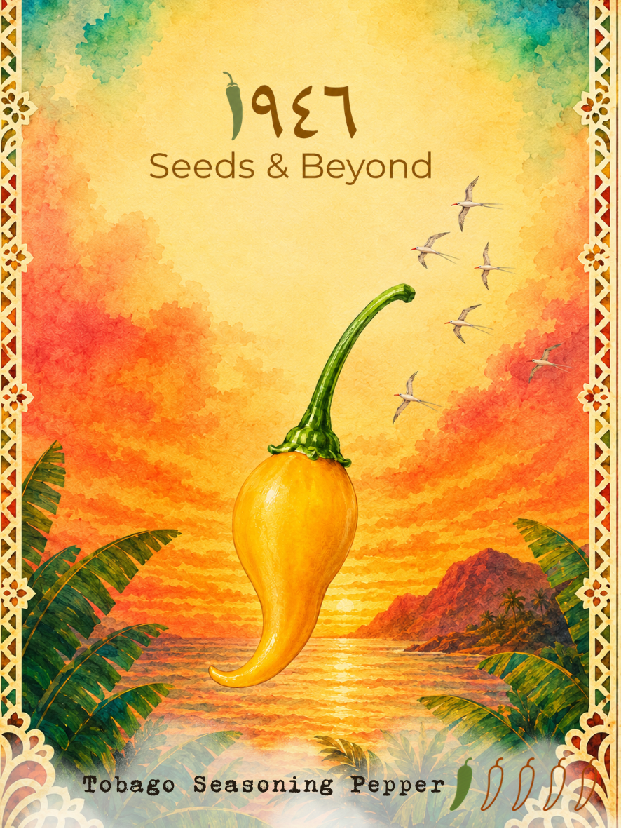 Tobago Seasoning Pepper