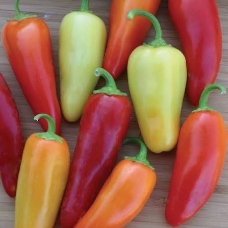 Santa Fe Grande Pepper