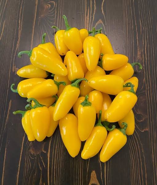 Lemon Spice Jalapeño Pepper