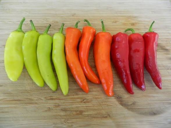 Hungarian Hot Wax Pepper