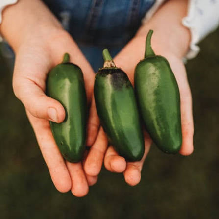 Craig’s Grande Jalapeños