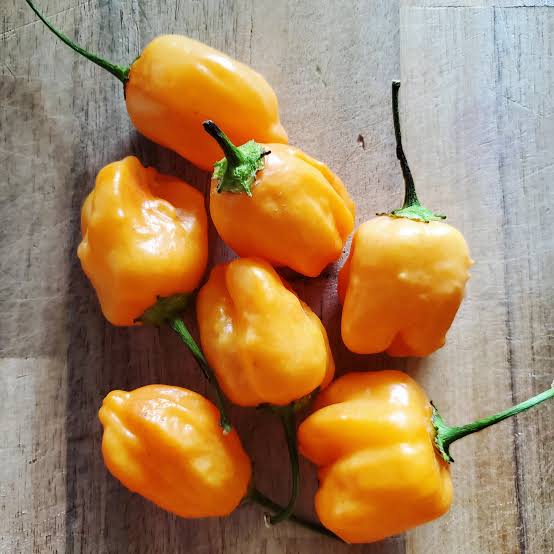 Aji Mango Pepper