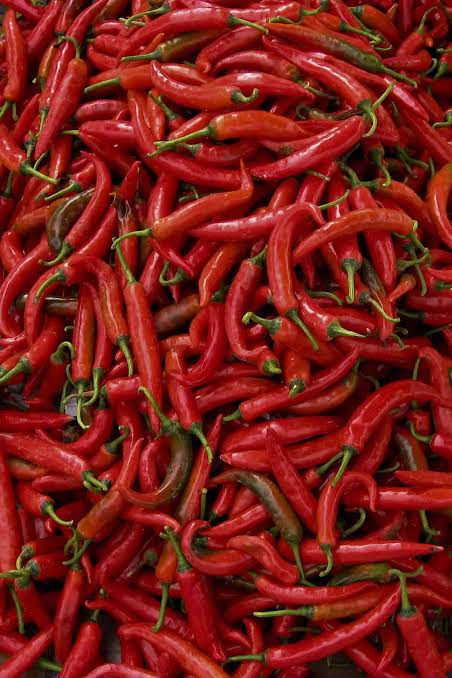 Thai Red Chili Pepper