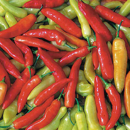 Aji Cristal Pepper