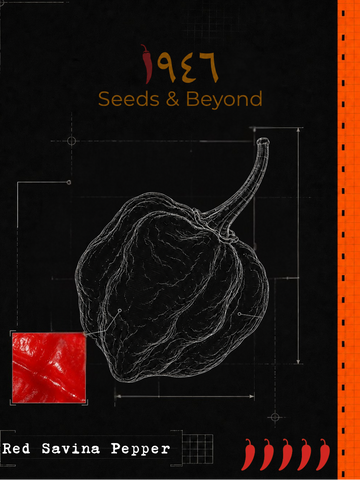 Red Savina Pepper