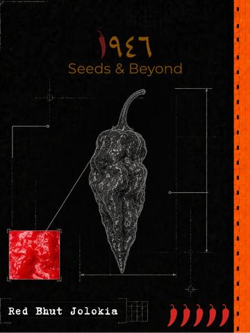 Red Bhut Jolokia Pepper