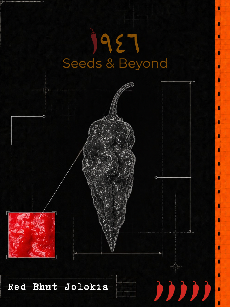 Red Bhut Jolokia Pepper