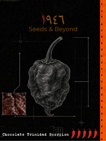 Chocolate Trinidad Scorpion