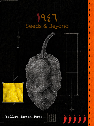 Yellow Seven Pots Pepper