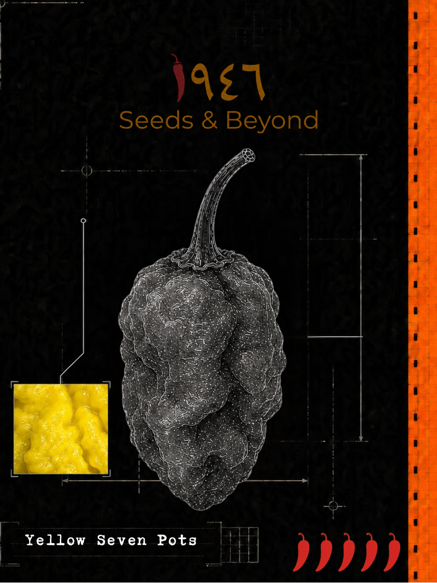 Yellow Seven Pots Pepper