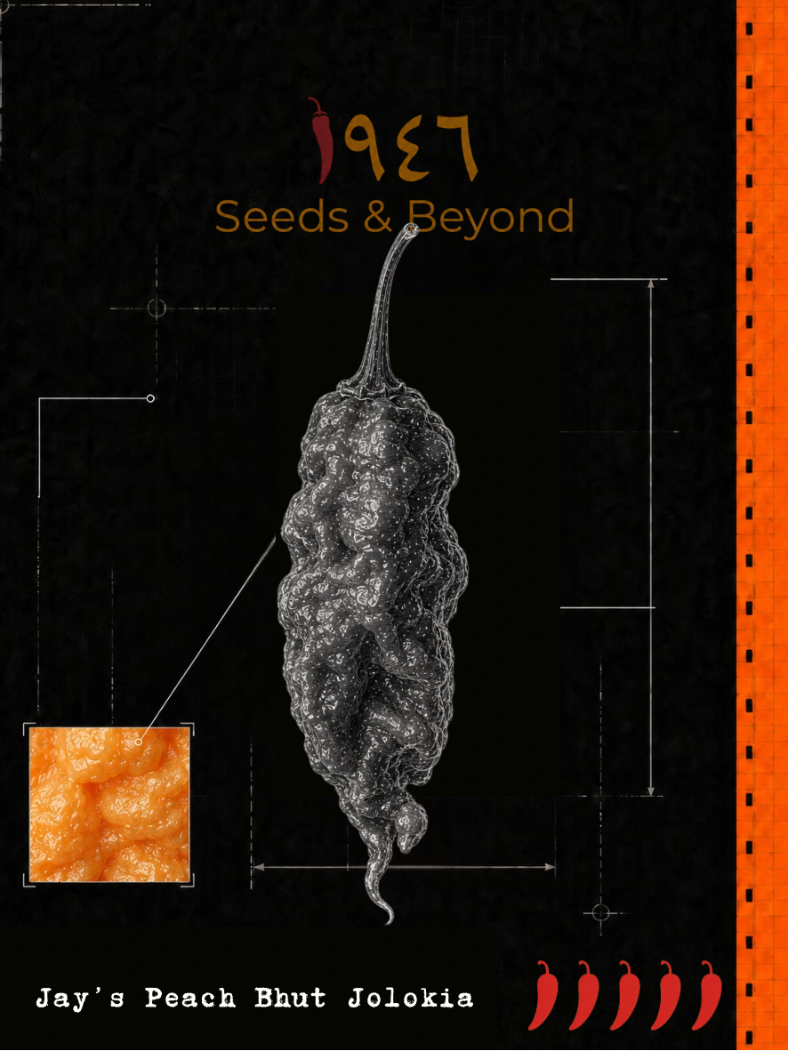Jay’s Peach Bhut Jolokia Pepper