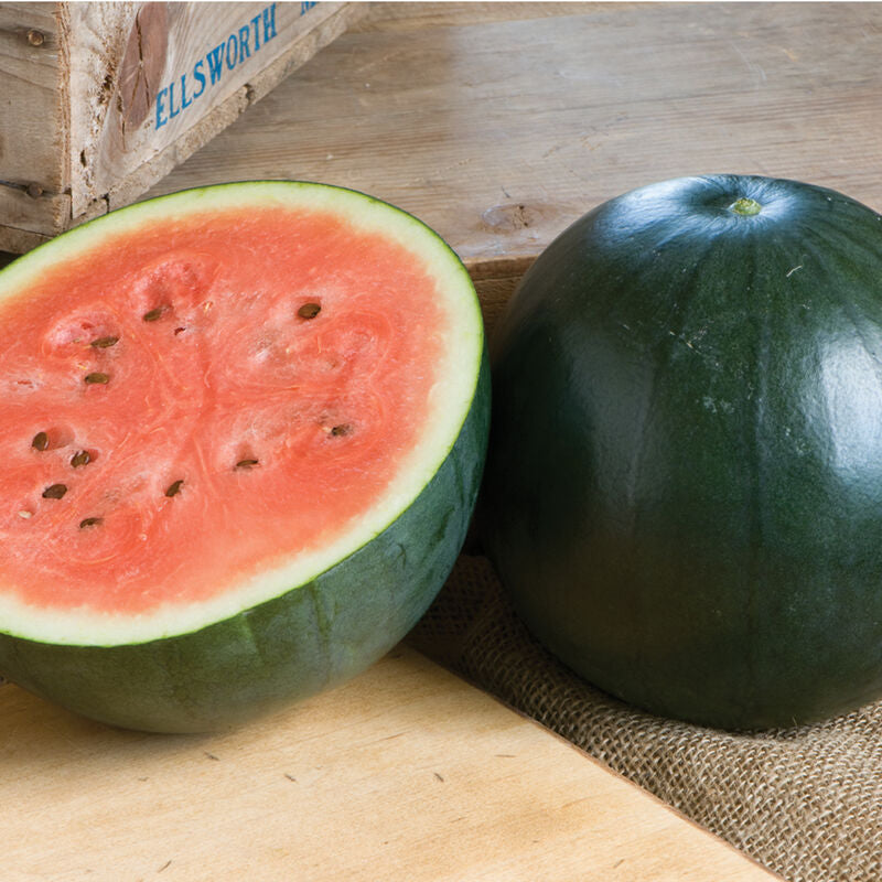 Sugar Baby
Watermelon Seed
