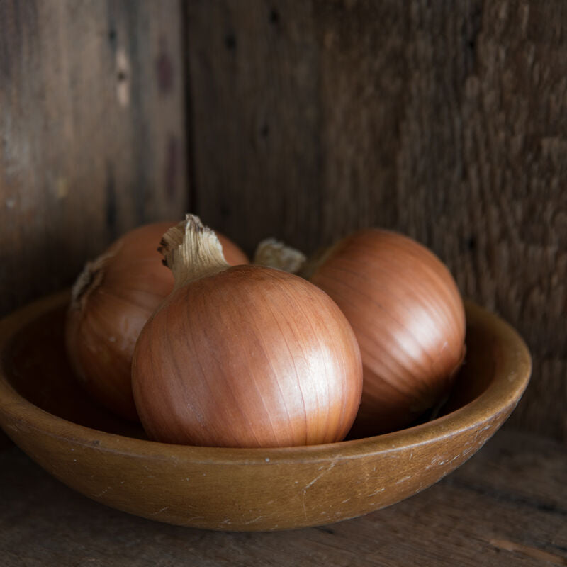 New York Early
Organic Onion Seed