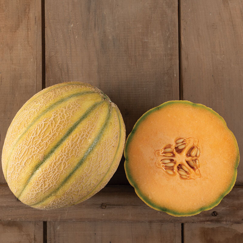 Milan
(F1) Melon Seed