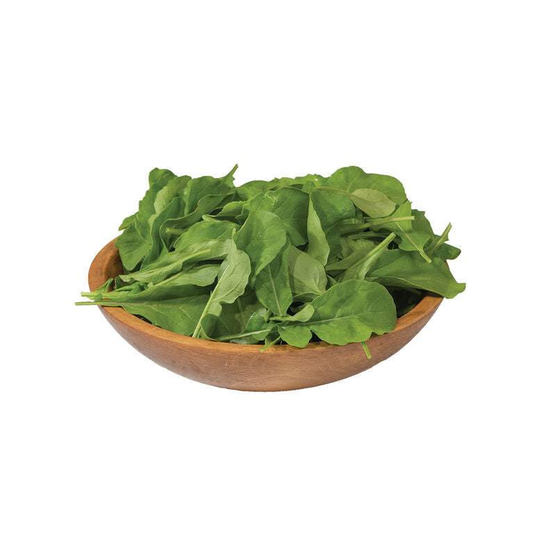 Standard Arugula Salad Seed