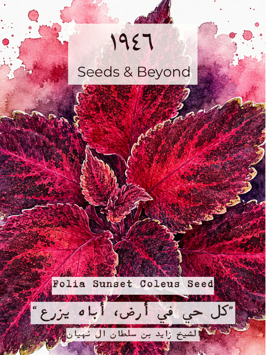 Folia Sunset Coleus Seed