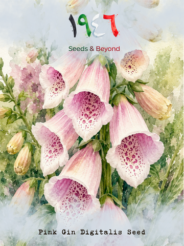 Pink Gin
Digitalis Seed