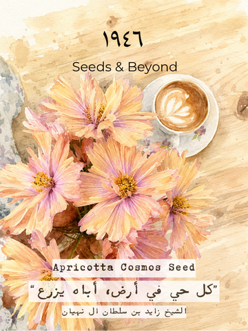 Apricotta Cosmos