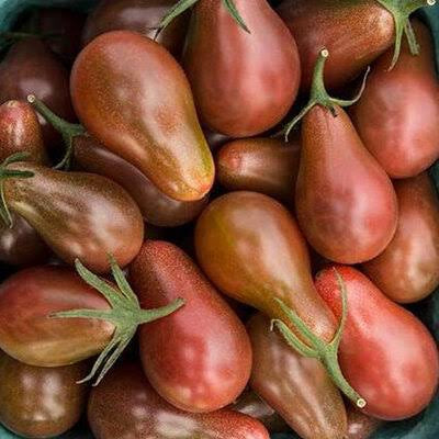 Chocolate Pear Tomato