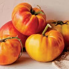 Big Rainbow Tomato Seed