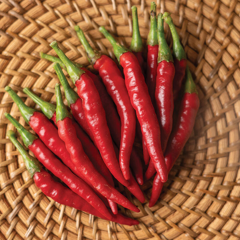 Bottle Rocket Cayenne Pepper