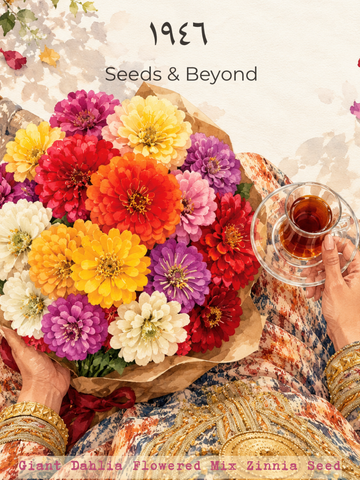 Giant Dahlia Flowered Mix
Zinnia Seed