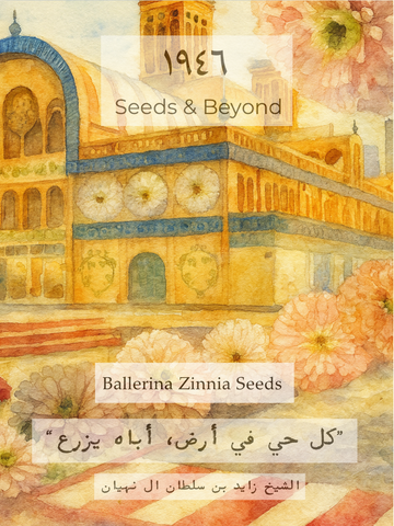 Ballerina Zinnia Seed