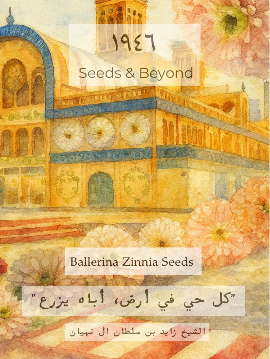 Ballerina Zinnia Seed