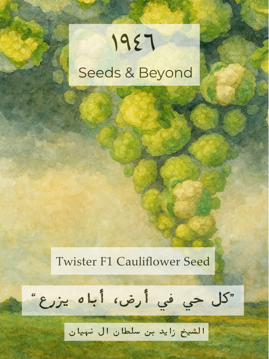 Twister F1 Cauliflower Seed