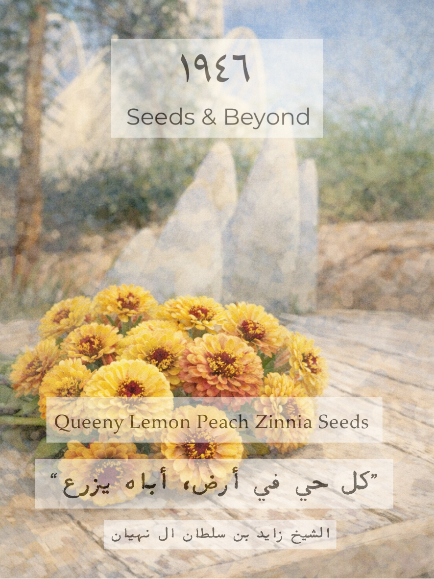 Queeny Lemon Peach Zinnia Seed