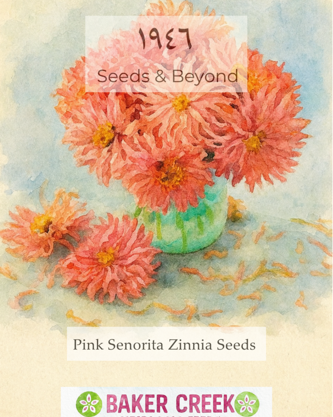 Pink Seniorita Zinnia Seed