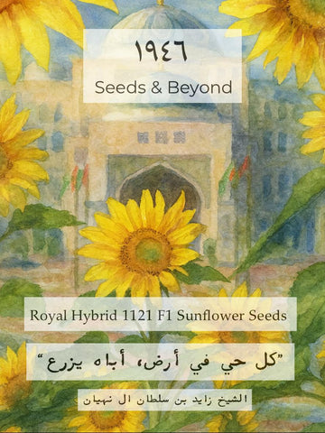 Royal Hybrid® 1121 Sunflower
(F1) Sunflower Seed
