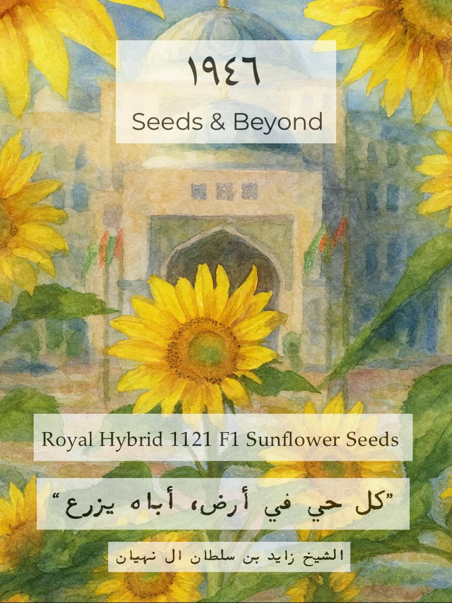 Royal Hybrid® 1121 Sunflower
(F1) Sunflower Seed